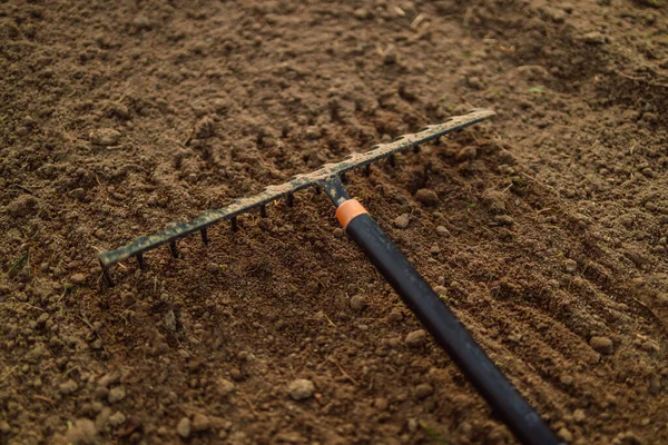 Cultivo Terra Por Ancinho Jardim Grande Limpeza Primavera Foco Seletivo — Fotografia de Stock