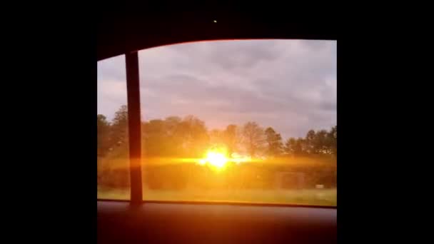 Вид Через Бокове Вікно Автомобіля Русі Дорозі Вздовж Лісу Влітку — стокове відео