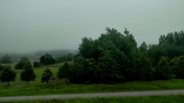 Fast Moving Trees Train Ride Passenger Side Window Beautiful Panoramic — Stock videók