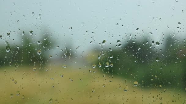 Gota Lluvia Agua Vidrio Temporada Lluvia Nocturna Para Fondo Textura — Vídeo de stock