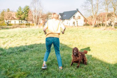 Parkta İrlandalı Setter köpeğiyle oynayan genç bir kadın. Sarışın, çekici, 30 'lu yaşlarda, İrlandalı yerleşimci köpeği olan bir kadın..