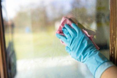 Kadın elinde mavi lastik eldivenler, temizleyici sprey ve pembe bez ile pencereyi temizliyor. İnsanlar, ev işleri ve ev idaresi kavramı. 
