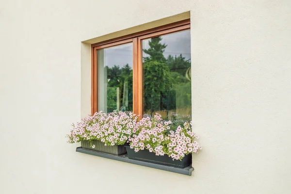 Beautiful style window and flower box with light summer flowers in Poland