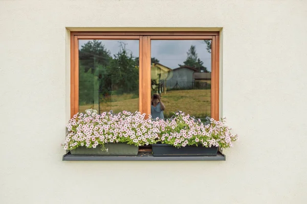 Beautiful style window and flower box with light summer flowers in Poland