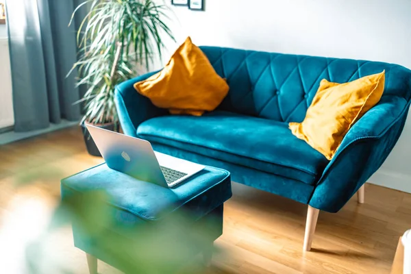 Cozy light living room with blue sofa and laptop, no people. Empty domestic room, cosy homeoffice space at home, modern furniture store advertisement concept