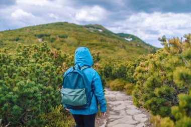 Adam ve 50 'li yaşlardaki kadın dağda ıslak kayalıklarda yürüyüş yapıyor. Babia Gora Polonya