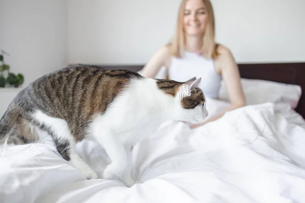 Happy Young Woman Stroking Cat Bed Home Bedroom Pets Morning — Photo