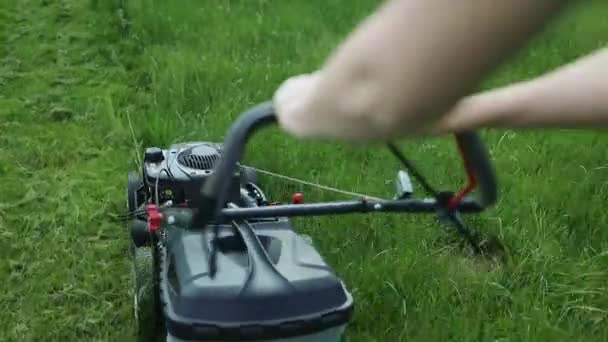 Young Woman Mowing Lawn Lawn Mower His Beautiful Green Floral — Stockvideo