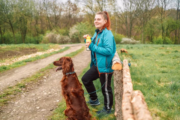 Young Sport Woman Irish Setter Dog Walking City Street Holding — Stockfoto