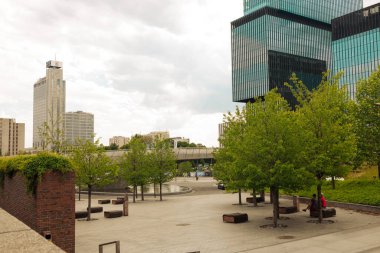 Polonya, Varşova 'da yeşil çim tarlası ve yeşil taze ağaç bitkisi olan halka açık bir park. 