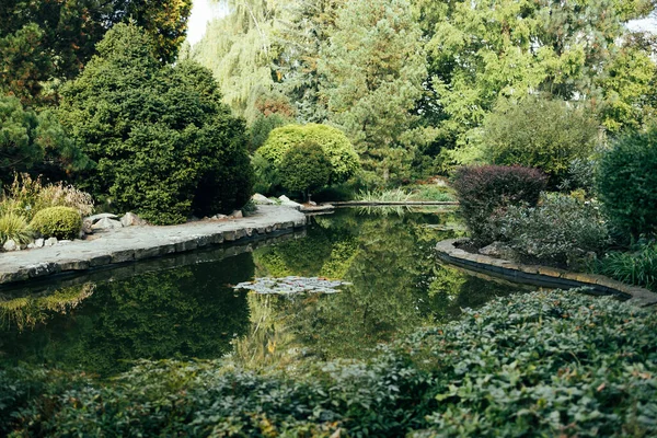 Krásný Výhled Přírody Ekorybník Botanické Zahrady Mnoho Dekorativních Stálezeleně Selektivní — Stock fotografie