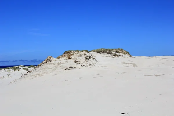 Dunes du désert sable avec le ciel bleu — Photo