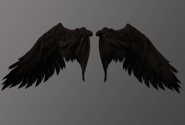 Gri arkaplanda kahverengi melek kanatları