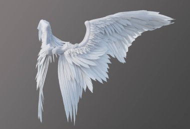 Gri arkaplanda beyaz melek kanatları