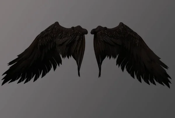 Gri arkaplanda kahverengi melek kanatları