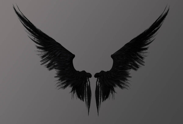 Worn out angel wings 