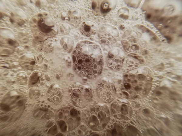 Objeler, yiyecekler, hayat, köpük, nafaka