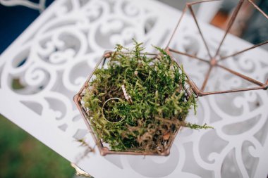 Tatilin düğün nitelikleri