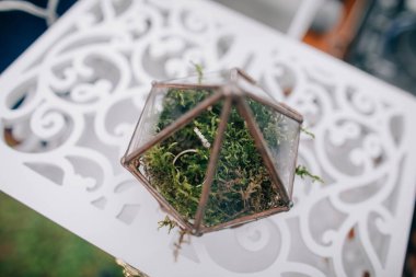 Tatilin düğün nitelikleri