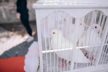 Tatilin düğün nitelikleri