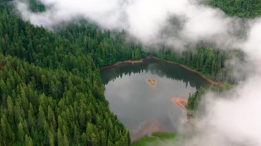 Lake Synevyr. The largest mountain lake of Ukraine, located at an altitude of 989 m above sea level. Ukraine