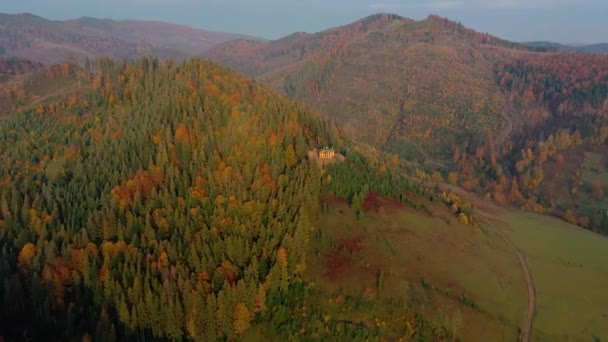Polonímia Montanhas Ucranianas Lugares Pastagem Para Gado Que Sobe Das — Vídeo de Stock