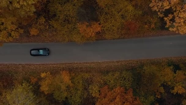 Kyiv Ukraine 2022 Audi Rs6 Driving Forest Road — Vídeo de Stock
