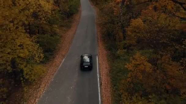 Kyiv Ukraine 2022 Audi Rs6 Driving Forest Road — ストック動画