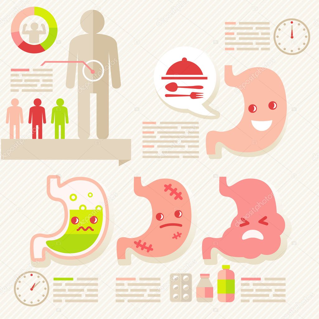 Stomach infographic