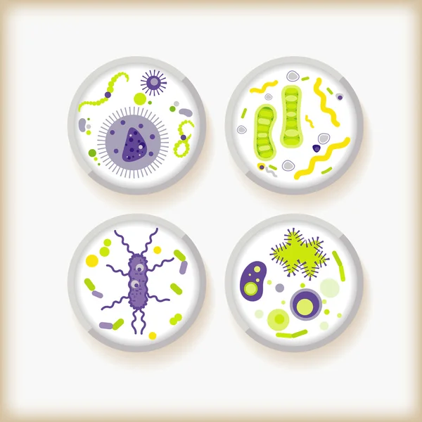 Bactéries — Image vectorielle