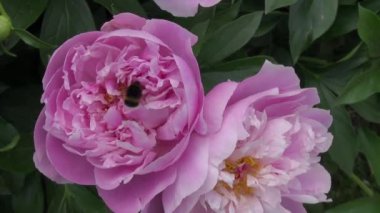 nehir su teknede bir iz