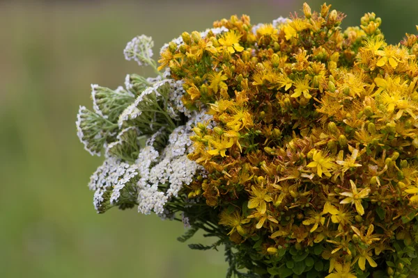 Grande bouquet di fiori selvatici gialli e bianchi — Foto Stock