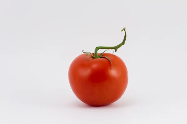 Um tomate vermelho fresco isolado em branco — Fotografia de Stock