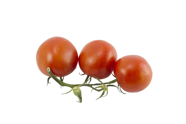 Tomate maduro aislado sobre fondo blanco — Foto de Stock