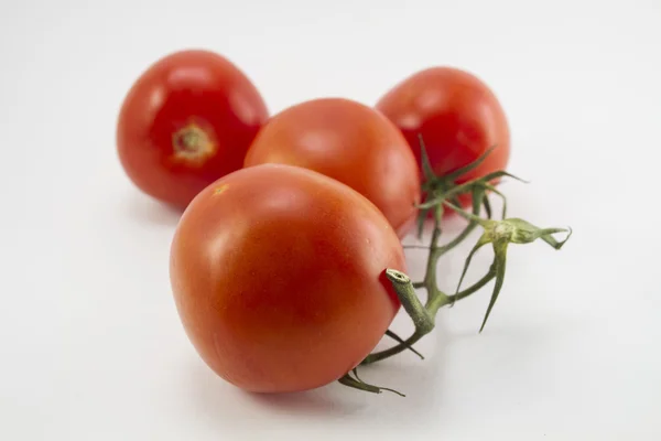 Tomate maduro aislado sobre fondo blanco — Foto de Stock