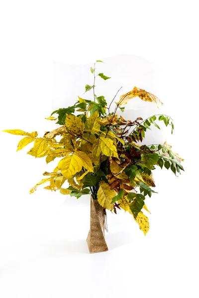 Buket Musim Gugur Dengan Cabang Pohon Dan Kuning Dan Daun — Stok Foto