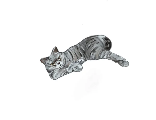 Handritning Katt Kan Användas För Tatuering — Stockfoto