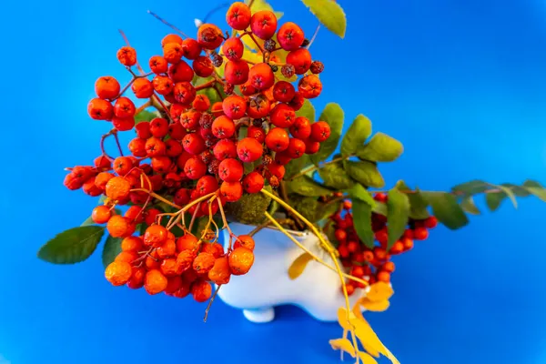 Buket Musim Gugur Cabang Rowan Dengan Berry Merah Pada Latar — Stok Foto