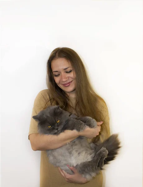 Fiatal Szép Val Egy Macska Látogatás Egy Állatorvos Szeretett Macska — Stock Fotó