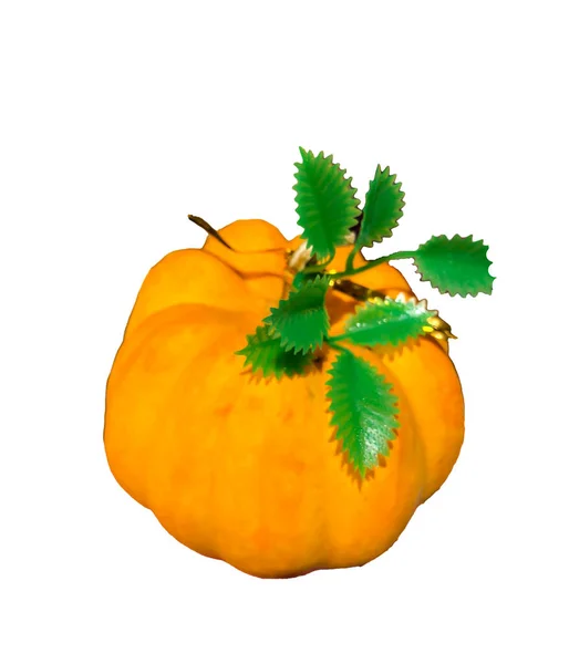 Calabaza Foto Sobre Fondo Blanco Aislar — Foto de Stock