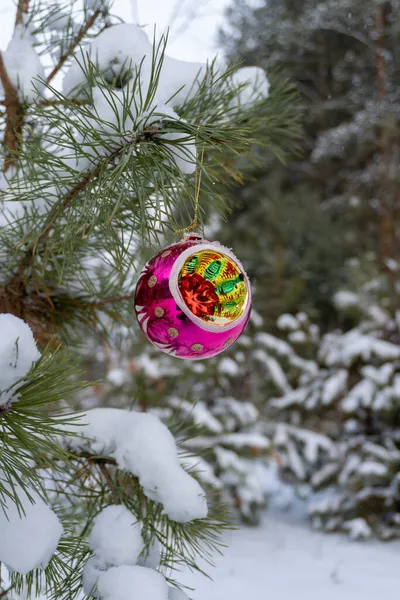 Χριστουγεννιάτικη Μπάλα Χειμώνα Στο Δάσος Στο Δέντρο — Φωτογραφία Αρχείου
