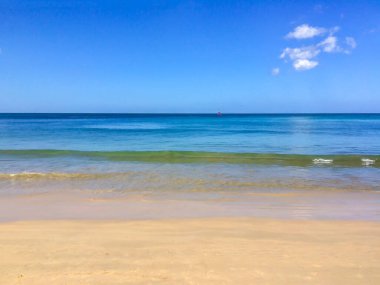 Sahil, palmiye ağaçları ve Phuket Adası 'ndaki Tayland Andaman Denizi.