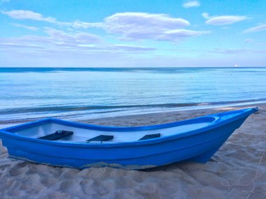 Sahil, palmiye ağaçları ve Phuket Adası 'ndaki Tayland Andaman Denizi.