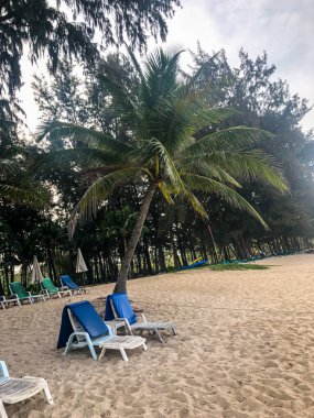 Sahil, palmiye ağaçları ve Phuket Adası 'ndaki Tayland Andaman Denizi.