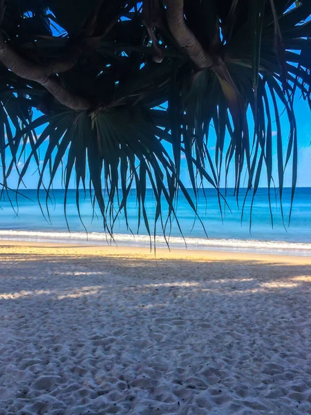 Plaża Palmy Morze Andaman Tajlandii Wyspie Phuket — Zdjęcie stockowe