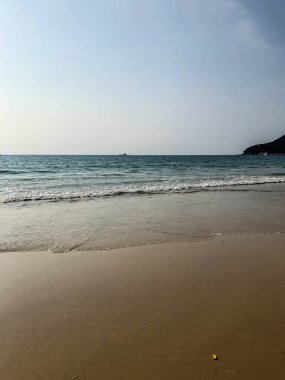 Sahil, palmiye ağaçları ve Phuket Adası 'ndaki Tayland Andaman Denizi.