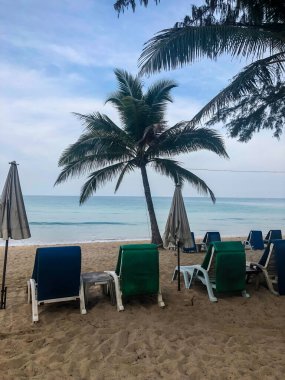 Sahil, palmiye ağaçları ve Phuket Adası 'ndaki Tayland Andaman Denizi.