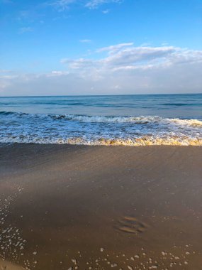 Sahil, palmiye ağaçları ve Phuket Adası 'ndaki Tayland Andaman Denizi.