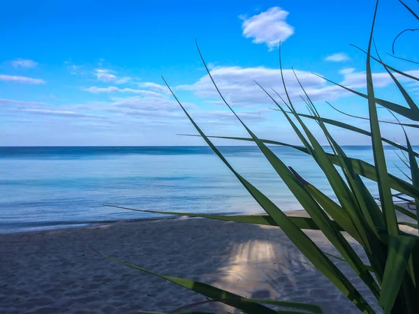 Playa Palmeras Mar Andamán Tailandia Isla Phuket — Foto de Stock