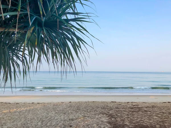 Spiaggia Palme Mare Delle Andamane Thailandia Sull Isola Phuket — Foto Stock